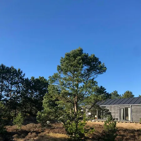 Summer House On Natural Grounds Among Pine Trees * Yderby