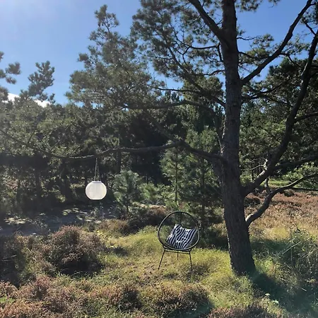Feriehus Summer House On Natural Grounds Among Pine Trees Yderby