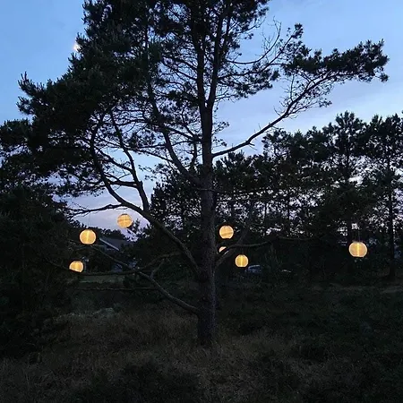 Summer House On Natural Grounds Among Pine Trees Feriehus Yderby
